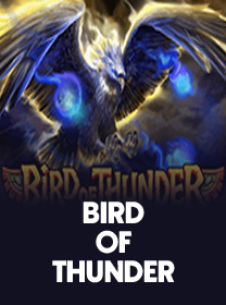 Bird of Thunder Game Terbaru untuk Android dan iOS