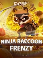 Ninja-Raccoon-Frenzy